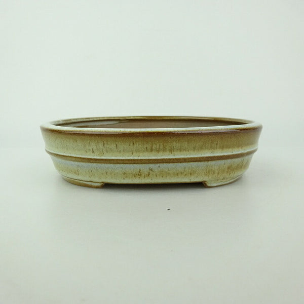 盆栽鉢 青香 小型 長辺 約14.5cm 楕円鉢 中帯 釉薬 j1198416465