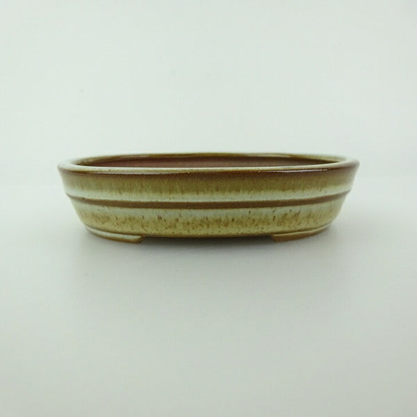 盆栽鉢 青香 小型 長辺 約11.9cm 楕円鉢 中帯 釉薬 n1198414305