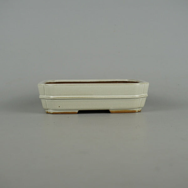 盆栽鉢 青香 小型 長辺 約14.7cm 長方鉢 隅入 中帯 釉薬 f1198414612