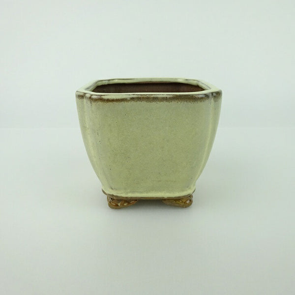 盆栽鉢 青香 小鉢 長辺 約6.5cm 正方鉢 隅入 雲足 下帯 釉薬 m1198409764