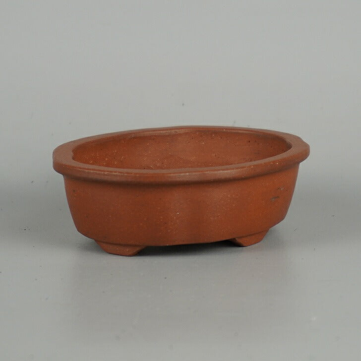 盆栽鉢 常滑 壹興 渡辺 一弘 小型 長辺 約11.2cm 木瓜鉢 外縁 泥物