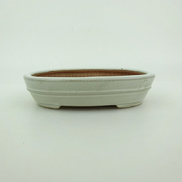 盆栽鉢 青香 小鉢 長辺 約10cm 楕円鉢 中帯 釉薬 1198399692