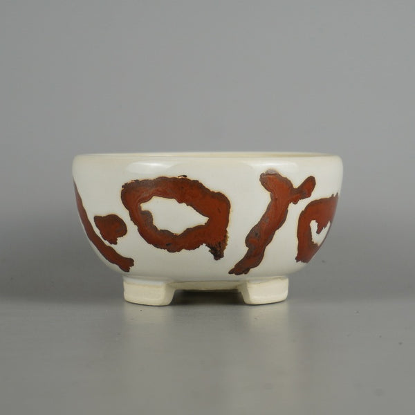 盆栽鉢 蝉山 小型 長辺 約 11.8cm 丸鉢 文字 英字 模様 観賞用  新品 s1198418707