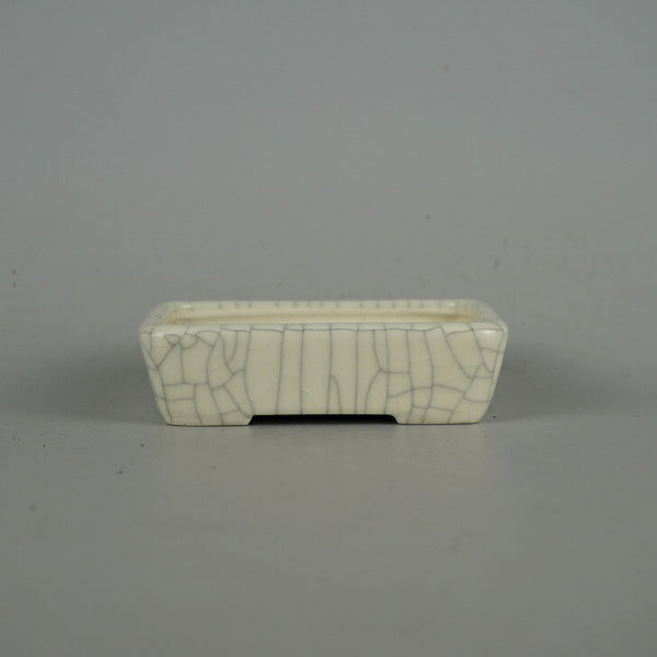 盆栽鉢 青香 小鉢 長辺 約9.5cm 長方鉢 釉薬 q1198418757