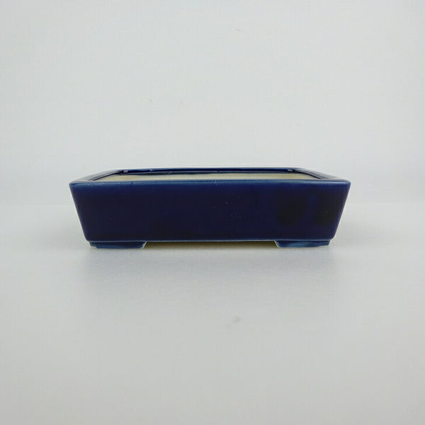 盆栽鉢 青香 小型 長辺 約12.1cm 長方鉢 釉薬 q1198417359