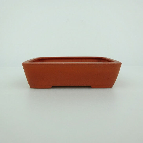 盆栽鉢 青香 小鉢 長辺 約9cm 長方鉢 泥物 f1198415404