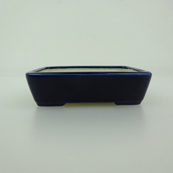 盆栽鉢 青香 小鉢 長辺 約9.4cm 長方鉢 釉薬 p1198417124