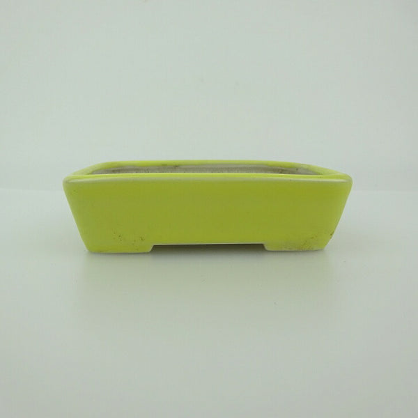 盆栽鉢 青香 小鉢 長辺 約9.2cm 長方鉢 釉薬 c1198409516