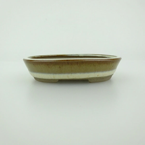 盆栽鉢 青香 小鉢 長辺 約8.4cm 楕円鉢 釉薬 p1198419321