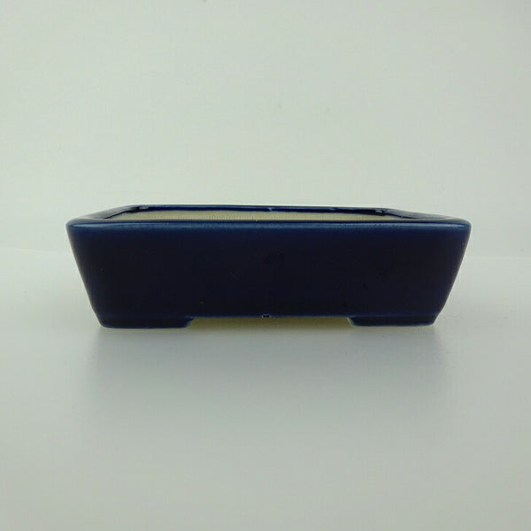 盆栽鉢 青香 小鉢 長辺 約9.4cm 長方鉢 釉薬 w1198405746