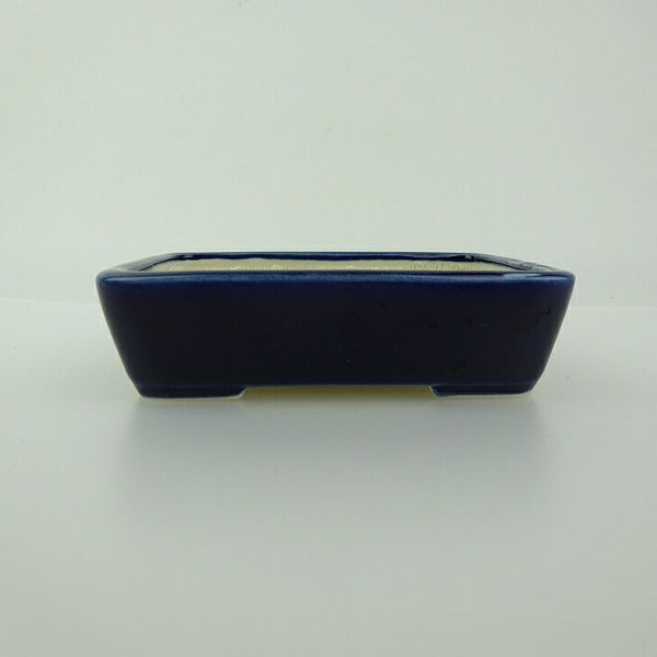 盆栽鉢 青香 小鉢 長辺 約9.3cm 長方鉢 釉薬 w1198410884