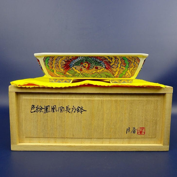 盆栽鉢 月香 小型 長辺 約15cm 長方鉢 外縁 色絵 鳳凰 共布 共箱 観賞用  新品 f1198412765