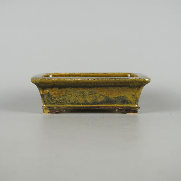 盆栽鉢 桂雲 福田桂雲 小型 長辺 約 17.3cm 長方鉢 外縁 下帯 釉薬  新品 w1198413607