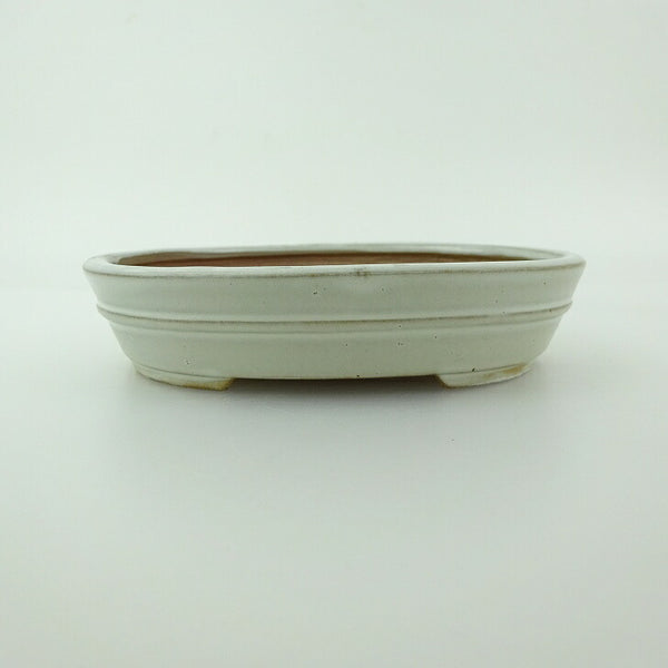 盆栽鉢 青香 小型 長辺 約11.9cm 楕円鉢 中帯 釉薬 o1198423472