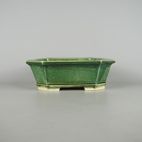 盆栽鉢 桂雲 福田桂雲 中型 長辺 約 23.3cm 長方鉢 隅切 下帯 釉薬  新品 f1198415105