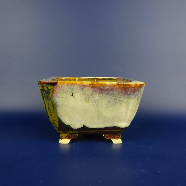 盆栽鉢 桂雲 福田桂雲 小型 長辺 約 12cm 正方鉢 釉薬  新品 h1198430201