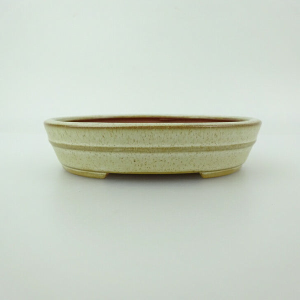 盆栽鉢 青香 小型 長辺 約12cm 楕円鉢 中帯 釉薬 l1198411173