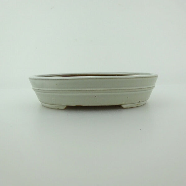 盆栽鉢 青香 小型 長辺 約12cm 楕円鉢 中帯 釉薬 x1198409094