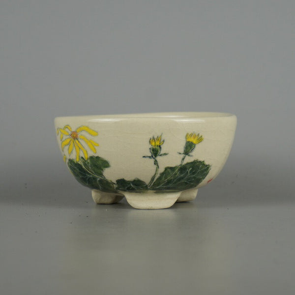 盆栽鉢 蝉山 小型 長辺 約11.5cm 丸鉢 色絵 花 はな ハナ 観賞用  新品 x1198410689