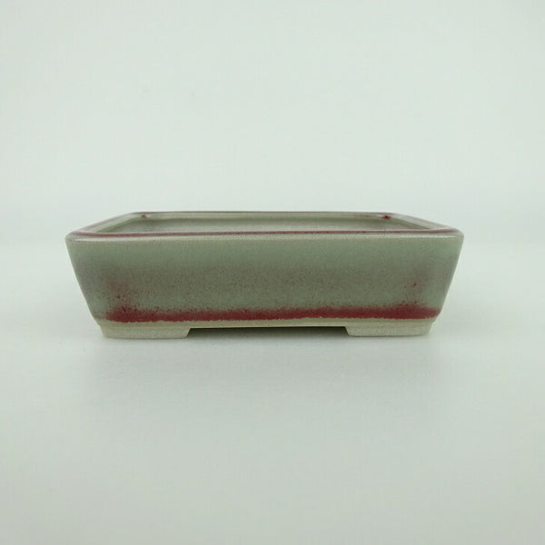 盆栽鉢 青香 小鉢 長辺 約9.3cm 長方鉢 釉薬 l1198412463