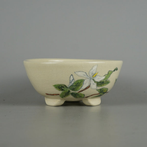 盆栽鉢 蝉山 小型 長辺 約 13cm 丸鉢 色絵 花 はな ハナ 植物 観賞用  新品 h1198421946