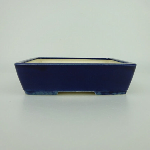 盆栽鉢 青香 小型 長辺 約14.8cm 長方鉢 釉薬 q1198418256