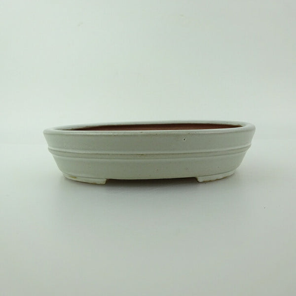 盆栽鉢 青香 小型 長辺 約11.9cm 楕円鉢 中帯 釉薬 n1198411180