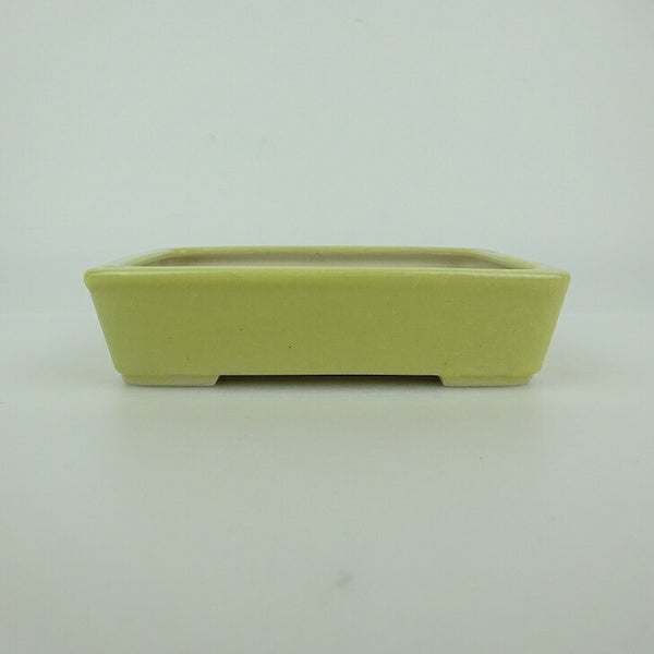 盆栽鉢 青香 小型 長辺 約12cm 長方鉢 釉薬 p1198421953