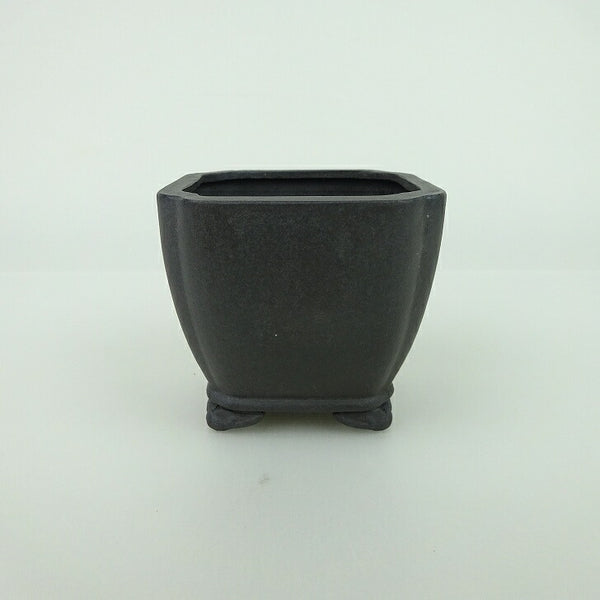 盆栽鉢 青香 小鉢 長辺 約6.5cm 正方鉢 隅入 雲足 下帯 泥物 o1198421441
