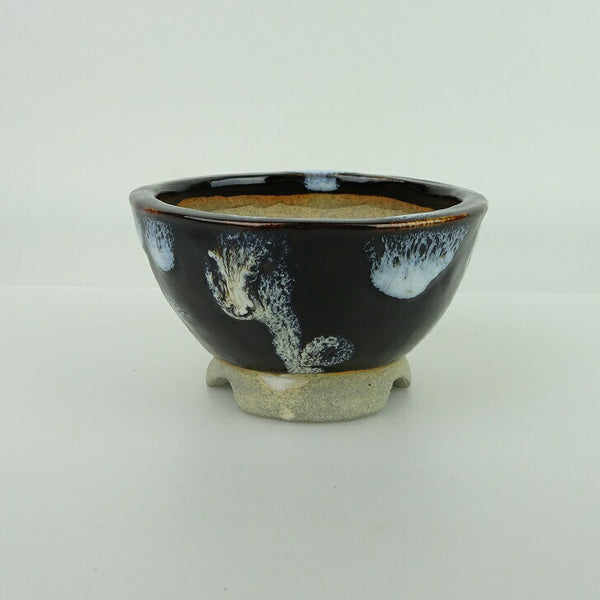 盆栽鉢 大山 大久保 欣三郎 小鉢 長辺 約9.3cm 丸鉢 釉薬  新品 l1198411320