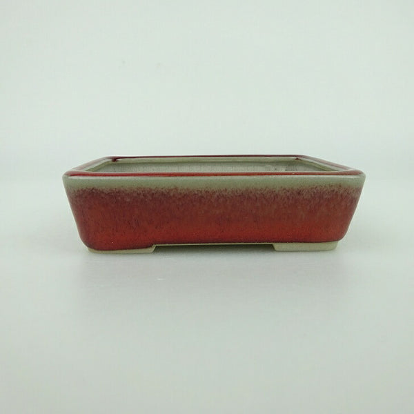 盆栽鉢 青香 小鉢 長辺 約9.3cm 長方鉢 釉薬 o1198429155