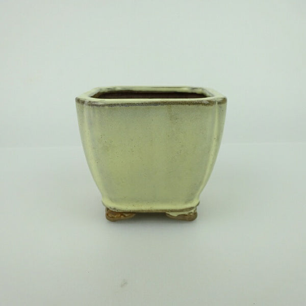 盆栽鉢 青香 小鉢 長辺 約6.5cm 正方鉢 隅入 雲足 下帯 釉薬 1198403384