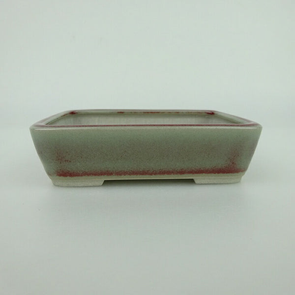 盆栽鉢 青香 小鉢 長辺 約9.5cm 長方鉢 釉薬 d1198419895