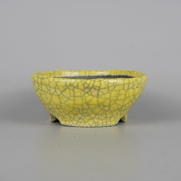 盆栽鉢 文山 越前文山 小型 長辺 約 13cm 鯖江園芸 丸鉢 釉薬 観賞用  新品 q1198414468