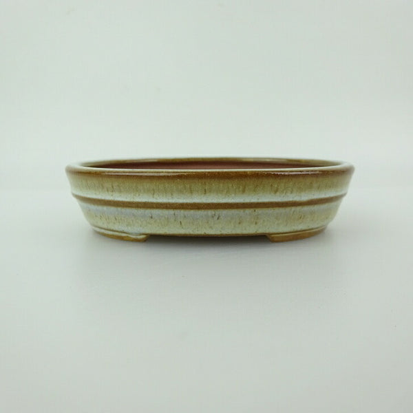 盆栽鉢 青香 小型 長辺 約11.8cm 楕円鉢 中帯 釉薬 s1198418851