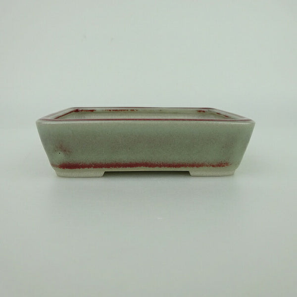 盆栽鉢 青香 小鉢 長辺 約9.3cm 長方鉢 釉薬 o1198422231
