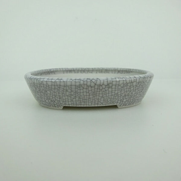 盆栽鉢 青香 小鉢 長辺 約9.8cm 楕円鉢 貫入 釉薬 l1198411369