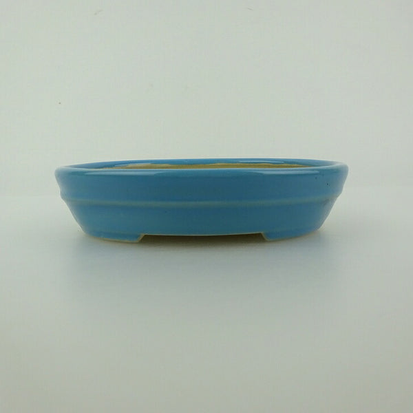 盆栽鉢 青香 小型 長辺 約12cm 楕円鉢 中帯 釉薬 q1198410838