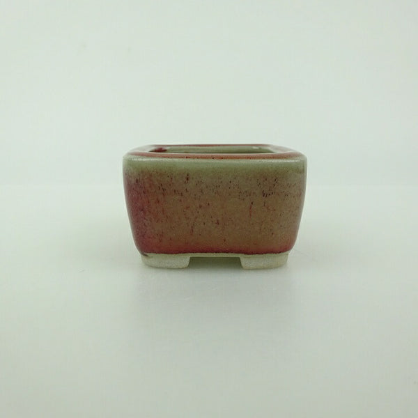 盆栽鉢 青香 豆鉢 長辺 約4.5cm 正方鉢 釉薬 m1198406885
