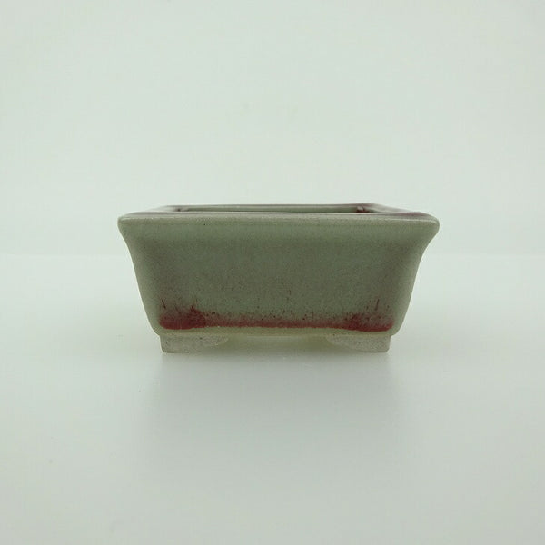 盆栽鉢 青香 小鉢 長辺 約5.8cm 長方鉢 縁付 釉薬  新品 c1198409236