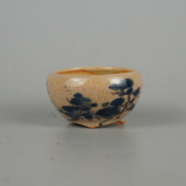 盆栽鉢 是好 矩 豆鉢 長辺 約4.8cm 丸鉢 色絵 松 まつ マツ 植物 ミニ鉢 観賞用  新品 r1198399999