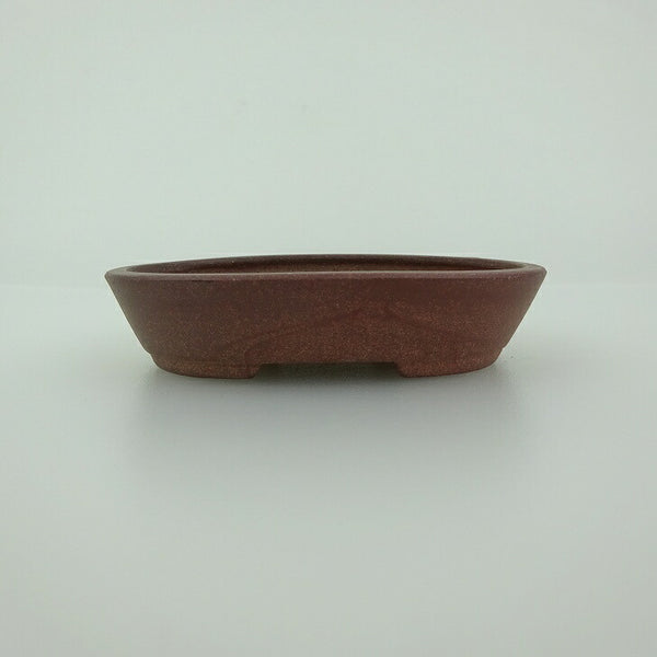 盆栽鉢 青香 小鉢 長辺 約8.2cm 楕円鉢 泥物 m1198409765