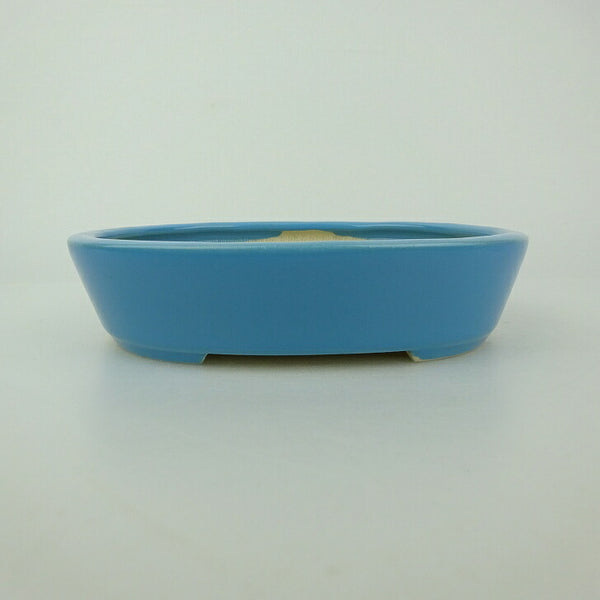 盆栽鉢 青香 小型 長辺 約14.8cm 楕円鉢 釉薬 1198405613