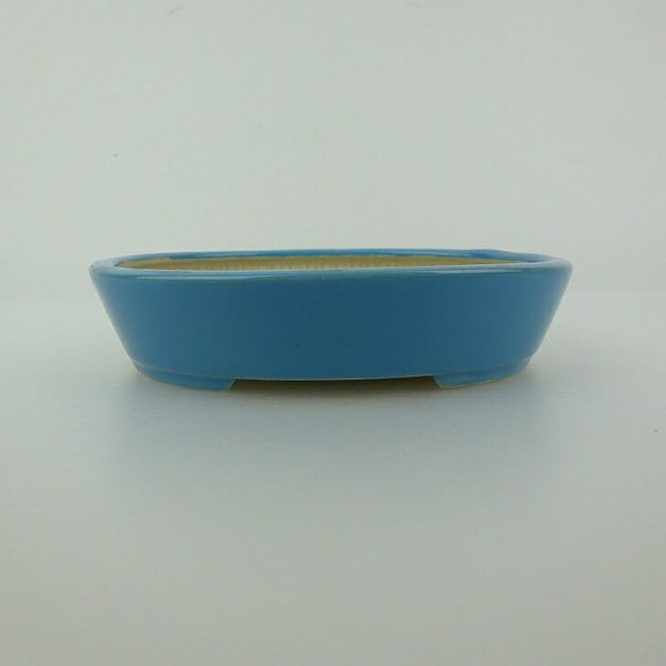 盆栽鉢 青香 小型 長辺 約12cm 楕円鉢 釉薬 x1198414723