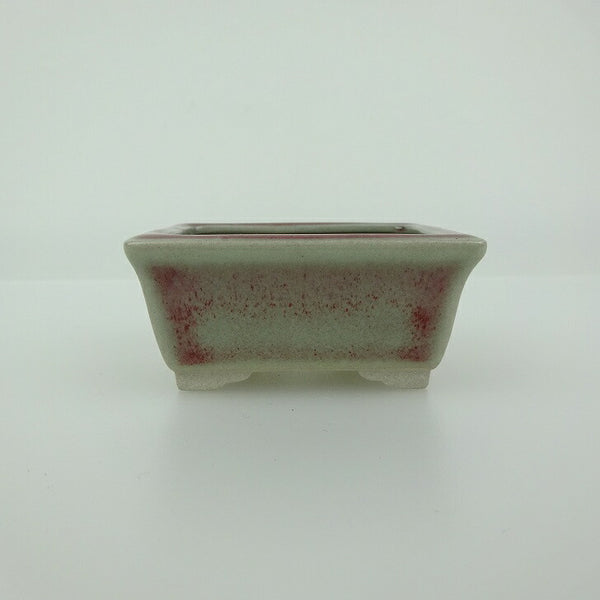 盆栽鉢 青香 小鉢 長辺 約5.8cm 長方鉢 縁付 釉薬  新品 r1198411053