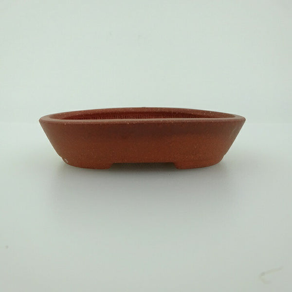 盆栽鉢 青香 小鉢 長辺 約8.4cm 楕円鉢 泥物 u1198424644