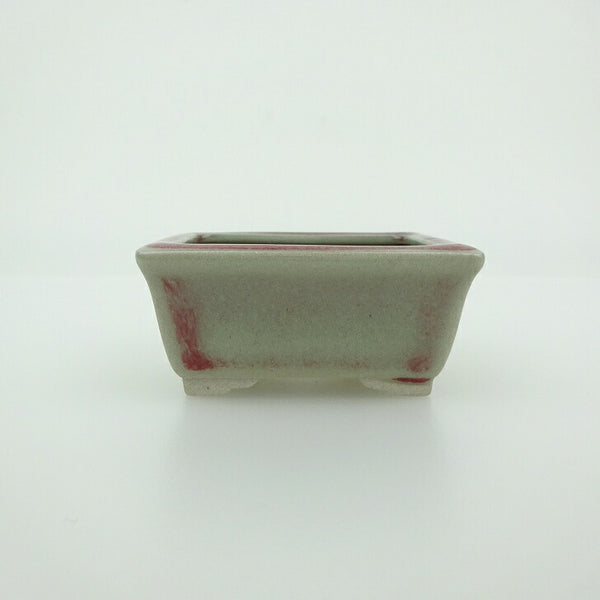 盆栽鉢 青香 小鉢 長辺 約5.8cm 長方鉢 縁付 釉薬  新品 d1198426711