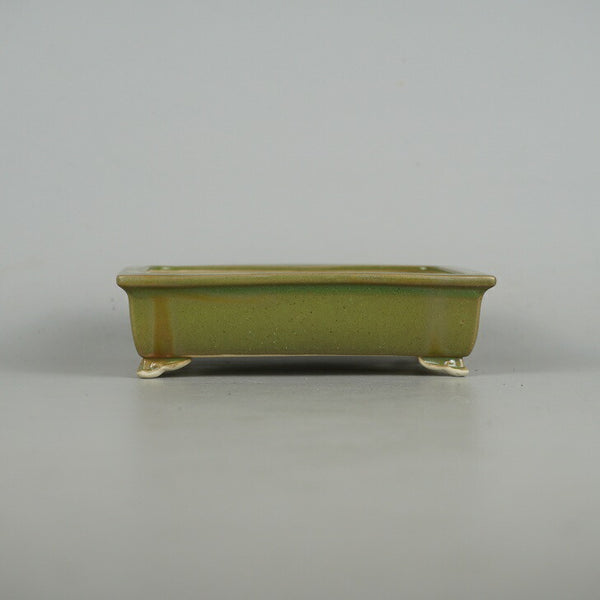 盆栽鉢 青香 小型 長辺 約13.3cm 長方鉢 雲足 釉薬 u1198429960