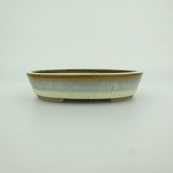 盆栽鉢 青香 小鉢 長辺 約9.8cm 楕円鉢 釉薬 u1198422685