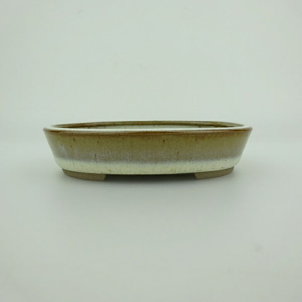 盆栽鉢 青香 小鉢 長辺 約9.8cm 楕円鉢 釉薬 g1198422510